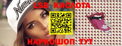 твердый Сланцы