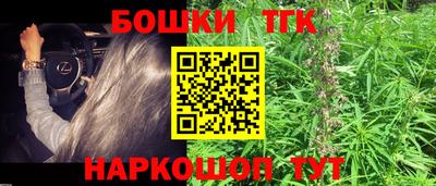 твердый Сланцы