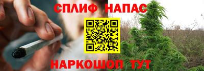 винт Славгород