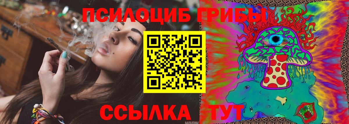 Псилоцибиновые грибы Magic Shrooms  закладки  Геленджик  Вход с VPN 
